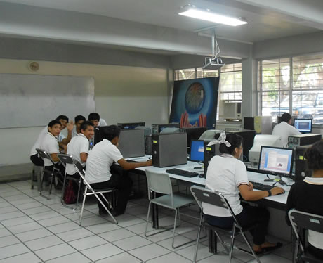 Técnico en Programación